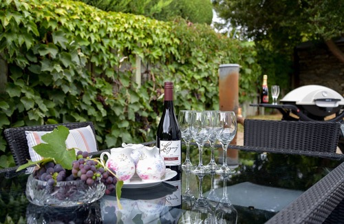 Clyde House | Historic Plum Tree Cottage - unlimited wifi, Rail trail perfect