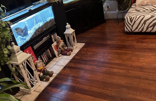South Norfolk Apartment | Historical section of Chesapeake. Propertie nice and groomed quiet neighborhood.