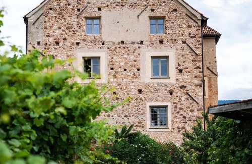 Berg/Monte Apartment | Historischer Charme im Appartment Turm. Ansitz Melag