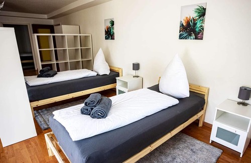 Busingen am Hochrhein Apartment | HÖ01 large apartment with dryer and washing machine