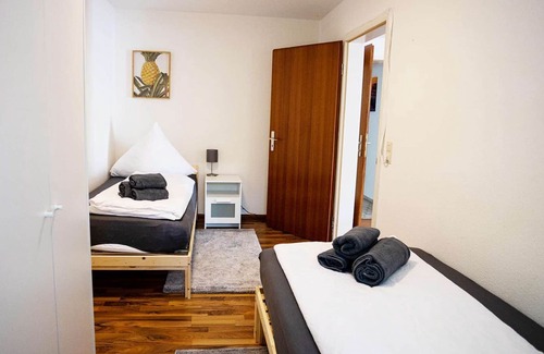 Busingen am Hochrhein Apartment | HÖ01 large apartment with dryer and washing machine