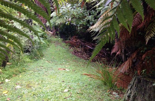 Waikino Cabin | Hobbit tree house in Waikino.