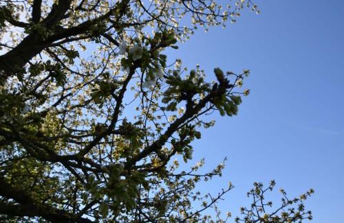 Alken Bed & Breakfast | Hoeve BôThé - B&B