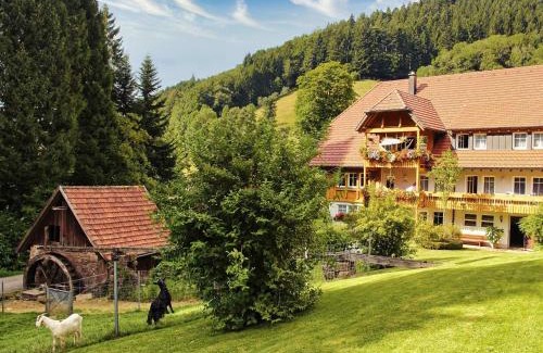Bad Peterstal-Griesbach Apartment | Hoferpeterhof