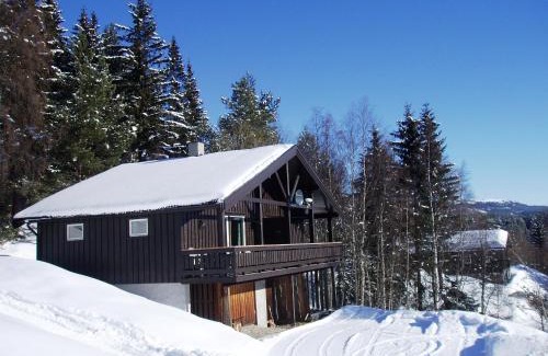 Hjartdal Municipality Apartment | Hogstul Hytter - Apartment North
