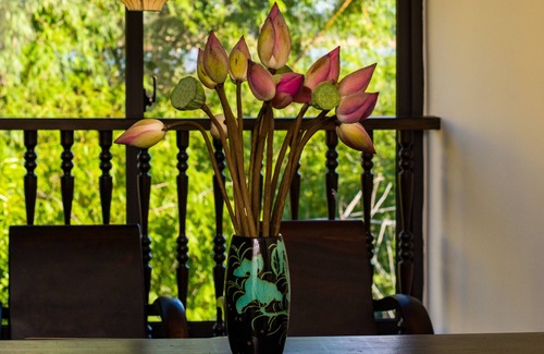 Hoi An Villa | HOIANOI VILLA - A LITTLE HOI AN