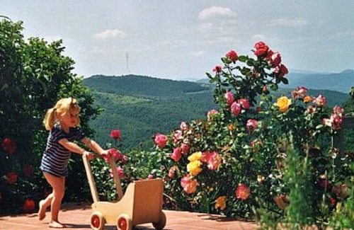 Collesanto Apartment | Holiday apartment I Cuccioli, Villa La Rogaia, countryhouse with pool, Umbria