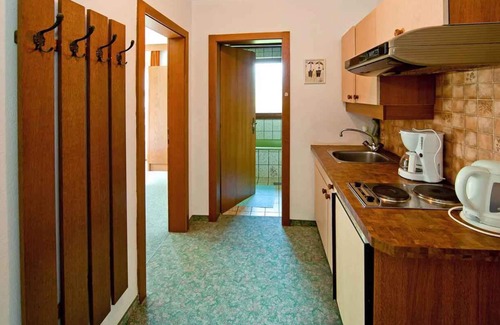 Hart im Zillertal Apartment | Holiday apartment with balcony and wifi