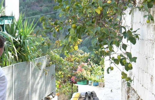 Tiros Apartment | Holiday apartment Paralia Arkadhia for 1 - 6 persons with 3 bedrooms - Holiday apartment in one or m