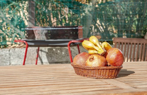 Paduledda Apartment | Holiday Apartment with Fireplace, Garden & Terrace; Parking Available
