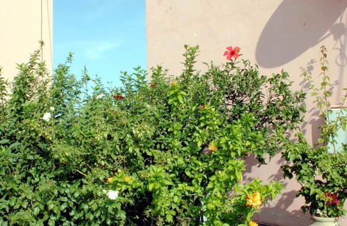 Gimari House | Holiday apartment Kalami for 1 - 5 persons with 2 bedrooms - Holiday house