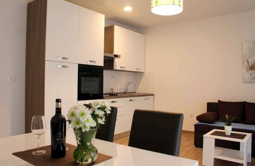 Gradac Apartment | Holiday apartment 100 m to the beach and with air conditioning