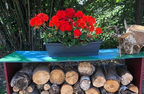 La Calamine Apartment | Holiday apartment / app. for 6 guests with 110m² in Kelmis (147779)