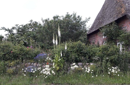 Emmelsbuell-Horsbuell Apartment | Holiday apartment Emmelsbüll-Horsbüll for 1 - 4 persons - Holiday apartment in one or multi-family h