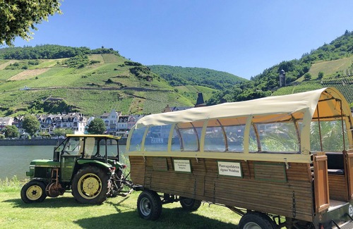 Kaimt Apartment | Holiday apartment Mosel Vineyard - Modern, comfortable and friendly