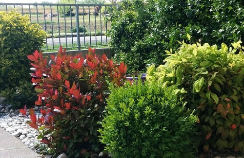 Ravenna Apartment | Holiday apartment Ravenna for 1 - 3 persons with 2 bedrooms - Row house