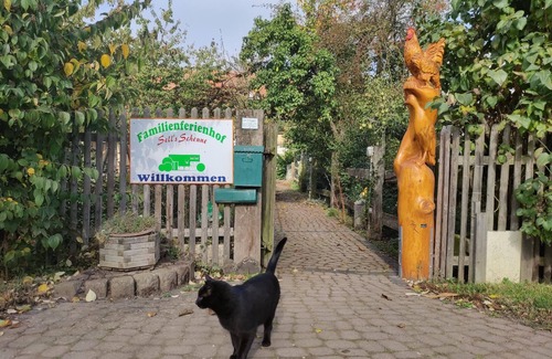 Sundhausen Apartment | Holiday apartment Sundhausen for 1 - 4 persons with 1 bedroom - Holiday apartment in one or multi-fa