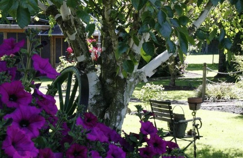 Wilhelmsfehn Apartment | Holiday apartment Wiesmoor for 1 - 2 persons with 1 bedroom - Holiday apartment in one or multi-fami
