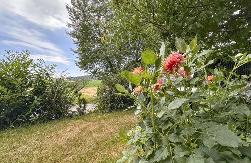 Roehrnbach Apartment | Holiday apartment with a great view near Passau