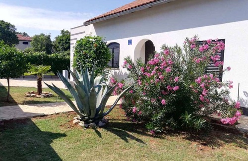 Pavicini Apartment | Holiday apartment with air conditioning
