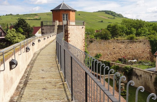 Westhoffen House | Holiday cottage in Westhoffen Schwartz Jacqueline Route des vins 67 Alsace