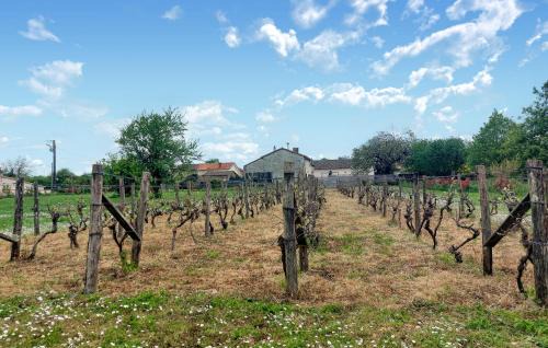Savigne House | Holiday Gite On A Vineyard
