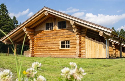 Glatten House | Holiday Home 'Blockhaus Almhütte Wiesenglück' with Private Terrace, Private Garden and Wi-Fi