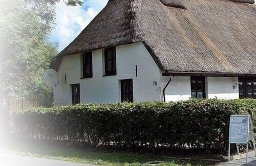 Stinteck House | Holiday home for 6 guests with 110m² in Westerdeichstrich (149601)