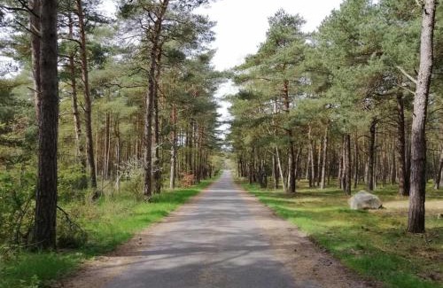 Ronne House | Holiday Home Helmi - 1km from the sea by Interhome