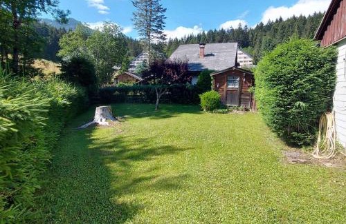 Bad Mitterndorf House | Holiday home in Bad Mitterndorf - Steiermark 41125