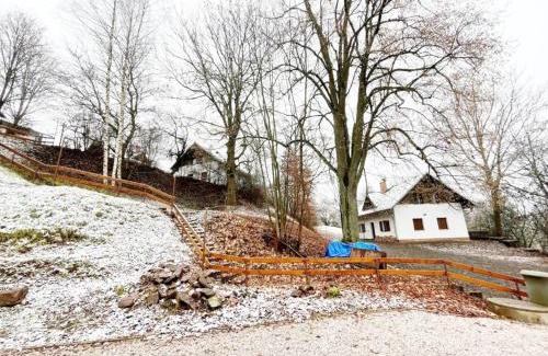 Rudnik u Vrchlabi House | Holiday Home in Javorník near Krkonose Park