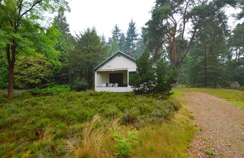 Maarheeze House | Holiday Home in Maarheeze near Forest