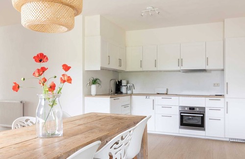 Nes House | Holiday Home in Nes near Vleijen Area