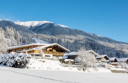 Schonbach Apartment | Holiday Home in Neukirchen with Mountain Views