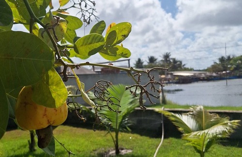 Estancia House | Holiday Home in Tambaquis Lagoon