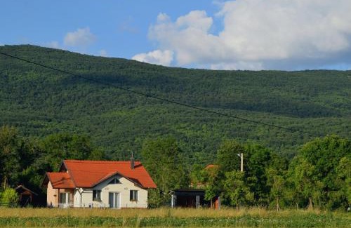 Otocac House | Holiday home Melani - with private heated pool and sauna