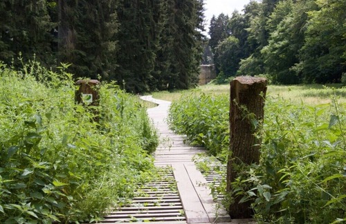Schankweiler Apartment | Holiday home Mobilex holidays
