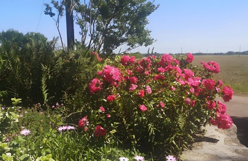 Mahalon Cottage | Holiday Home 'Plain-pied' with Private Terrace, Shared Garden and Wi-Fi