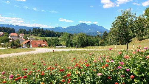 Slovenj Gradec House | Holiday home Rozika