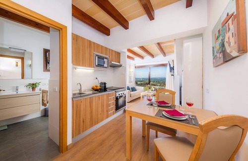 Ariany House | Holiday Home 'Sa Figuereta Living Place' with Pool, Private Terrace and Air Conditioning