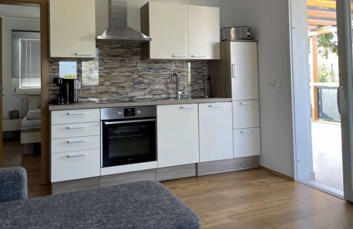 Milcetici Villa | Holiday home Villa Novum