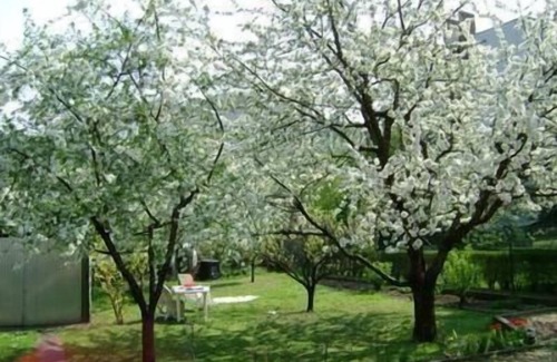 Zuglo House | Holiday house Budapest XIV for 1 - 6 persons with 3 bedrooms - Holiday home