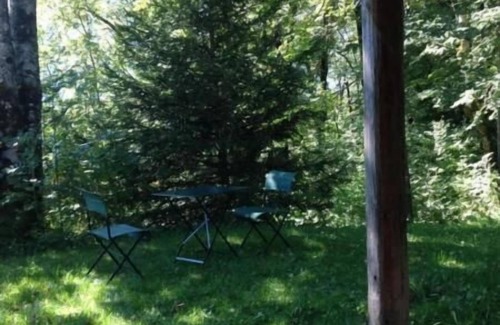 Hohfluh House | Holiday house Hasliberg Hohfluh for 1 - 8 persons with 3 bedrooms - Detached holiday house