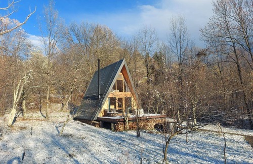Telega House | Holiday house Cimpina for 1 - 4 persons with 1 bedroom - Row house