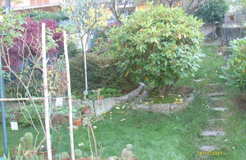 Bonzeno Apartment | Holiday house HOUSE YANINA