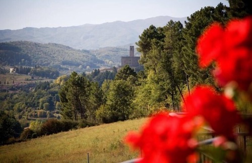 Poppi Other | Holiday house Poppi for 1 - 6 persons with 3 bedrooms - Farmhouse