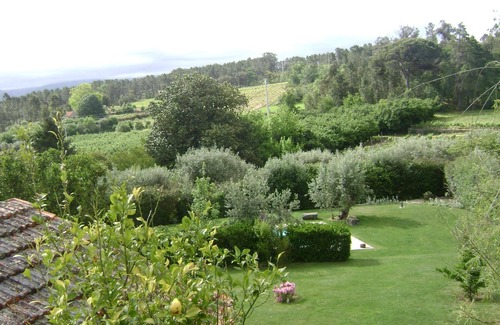 Seia House | Holiday house Seia for 1 - 6 persons with 3 bedrooms - Holiday home