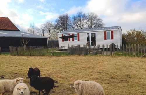 Zonnemaire House | Holiday house Zonnemaire for 1 - 6 persons with 3 bedrooms - Holiday home
