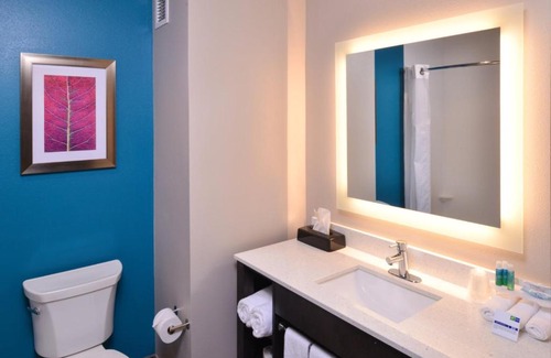 Benton Hotel | Holiday Inn Express and Suites Bryant - Benton Area by IHG