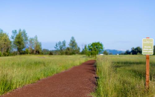 Eugene Hotel | Holiday Inn Express Hotel & Suites Eugene Downtown - University by IHG
